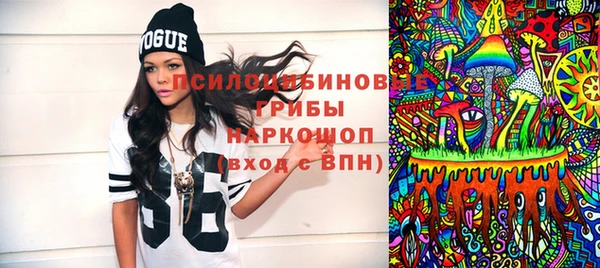 ПСИЛОЦИБИНОВЫЕ ГРИБЫ Карпинск