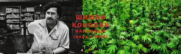 ECSTASY Карталы